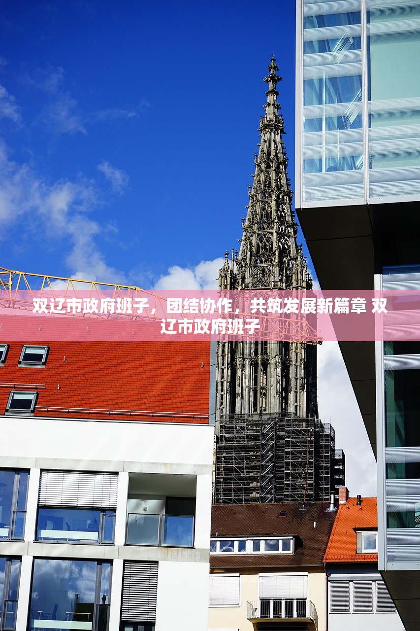 双辽市政府班子,团结协作,共筑发展新篇章 双辽市政府班子 双辽市政府班子,团结协作,共筑发展新篇章 双辽市政府班子