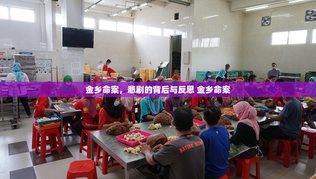 金乡命案，悲剧的背后与反思 金乡命案