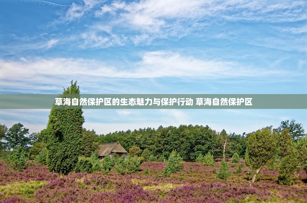 草海自然保护区的生态魅力与保护行动 草海自然保护区