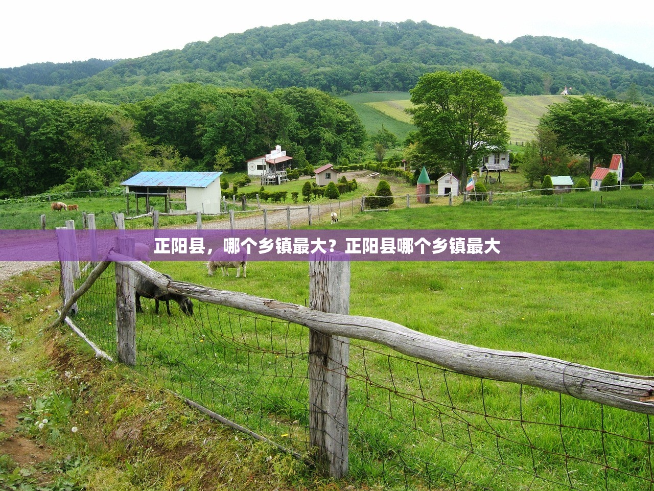 正阳县，哪个乡镇最大？正阳县哪个乡镇最大