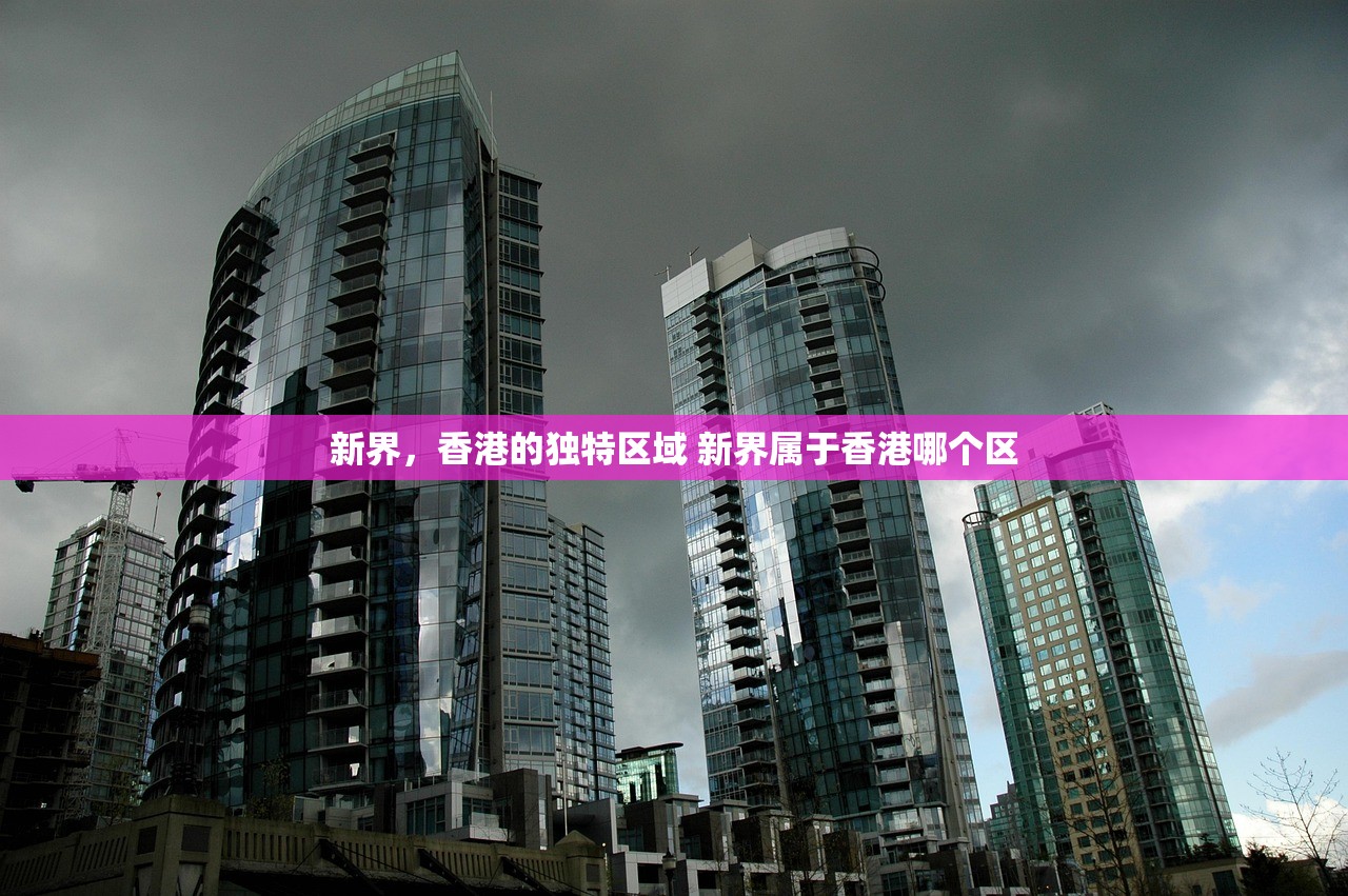 新界，香港的独特区域 新界属于香港哪个区