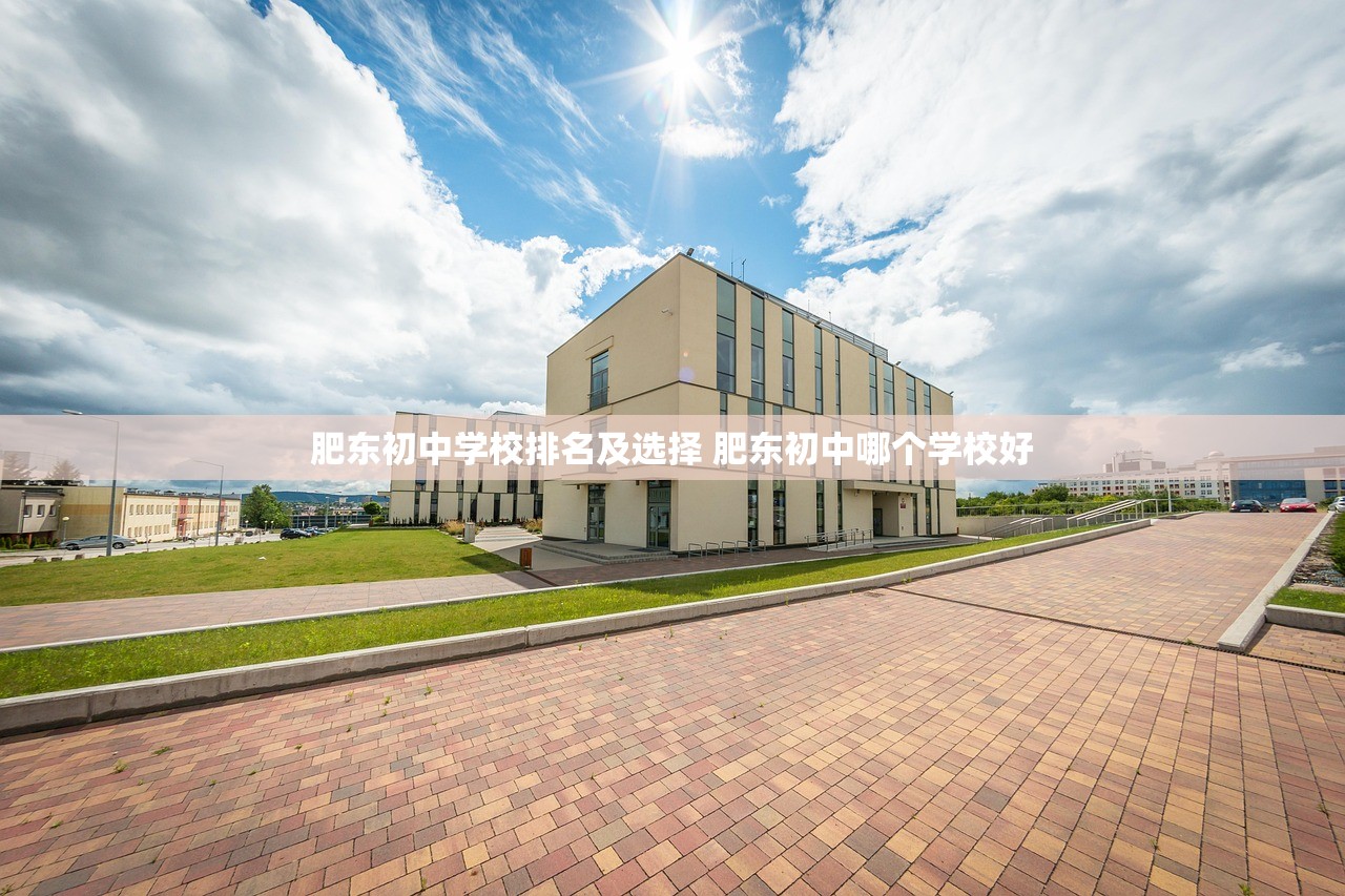肥东初中学校排名及选择 肥东初中哪个学校好 肥东初中学校排名及选择 肥东初中哪个学校好
