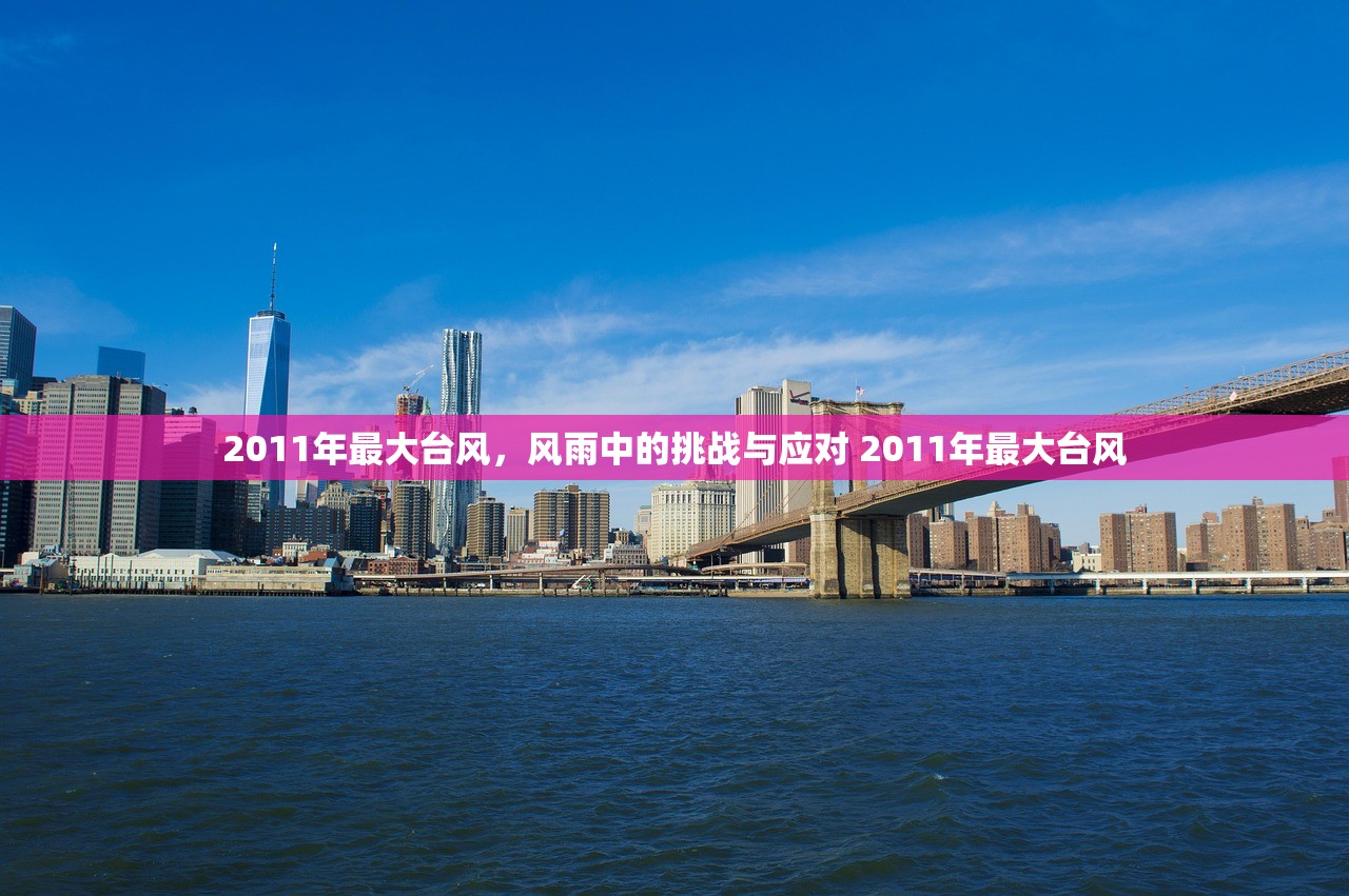 2011年最大台风，风雨中的挑战与应对 2011年最大台风