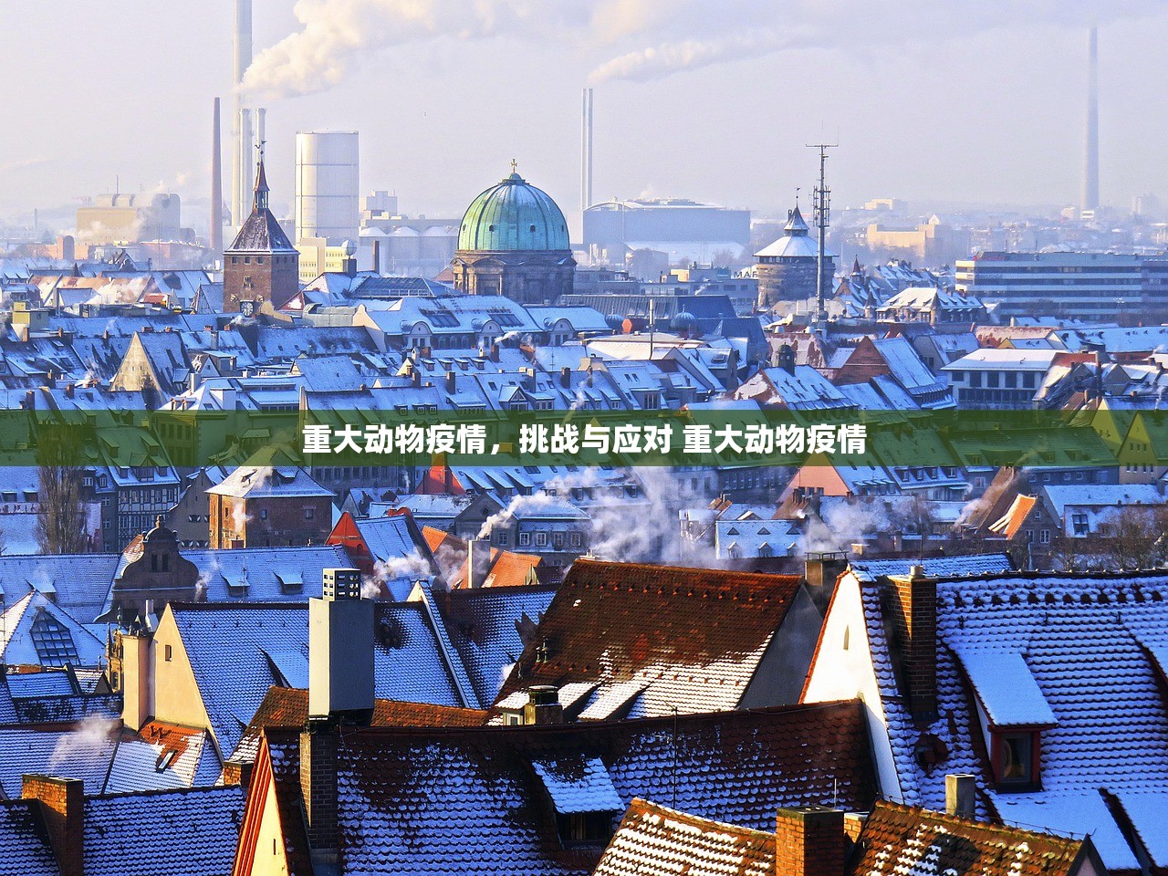 重大动物疫情，挑战与应对 重大动物疫情