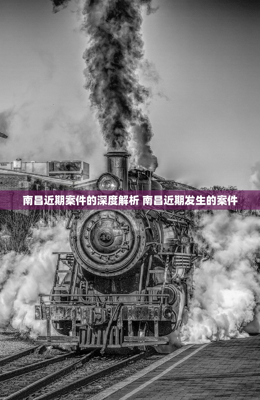 南昌近期案件的深度解析 南昌近期发生的案件
