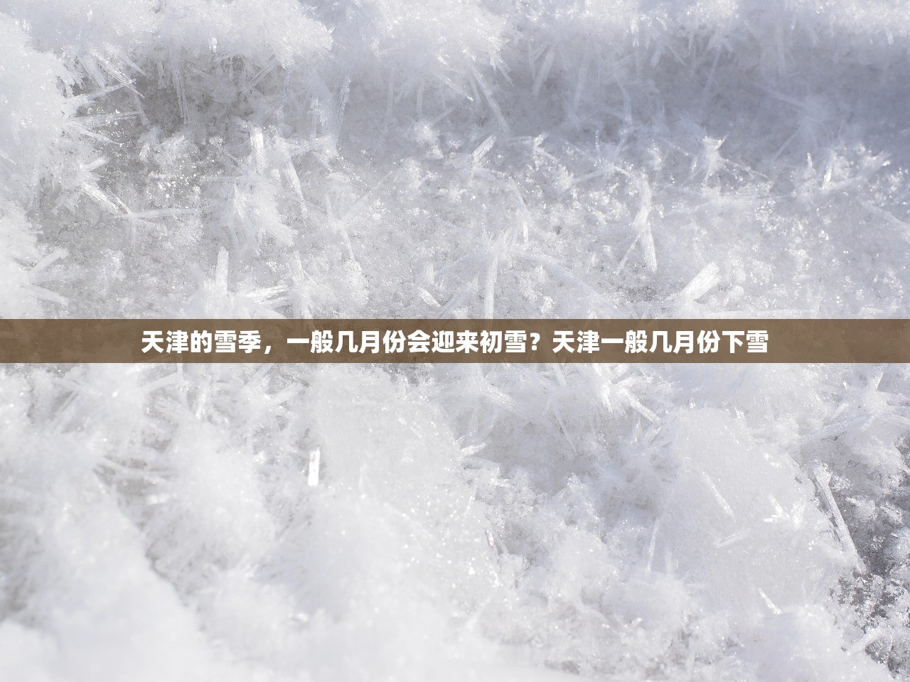 天津的雪季，一般几月份会迎来初雪？天津一般几月份下雪