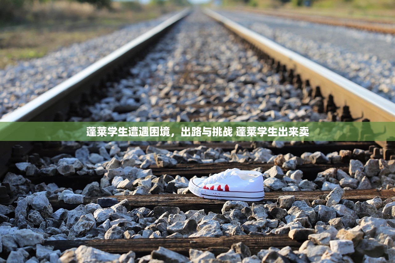 蓬莱学生遭遇困境，出路与挑战 蓬莱学生出来卖