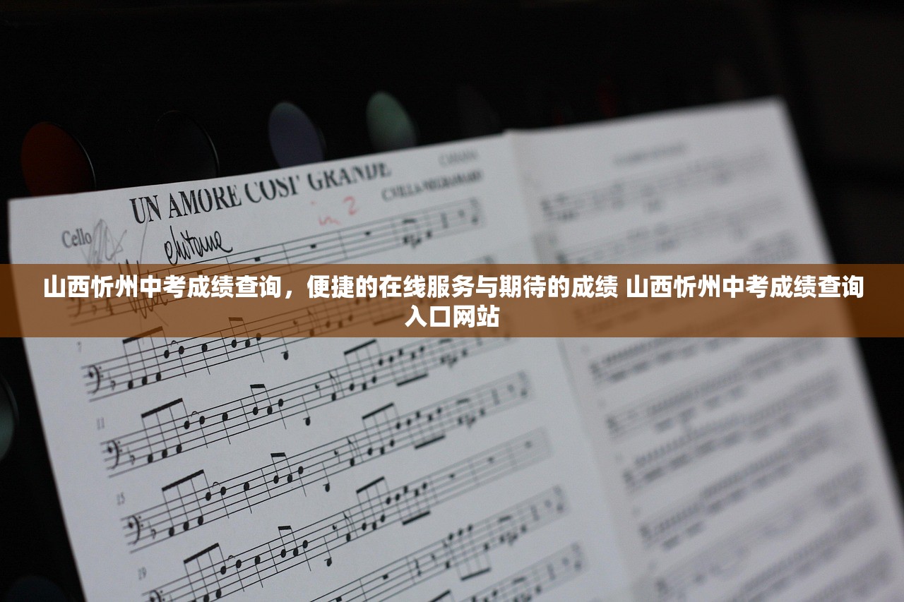 山西忻州中考成绩查询，便捷的在线服务与期待的成绩 山西忻州中考成绩查询入口网站