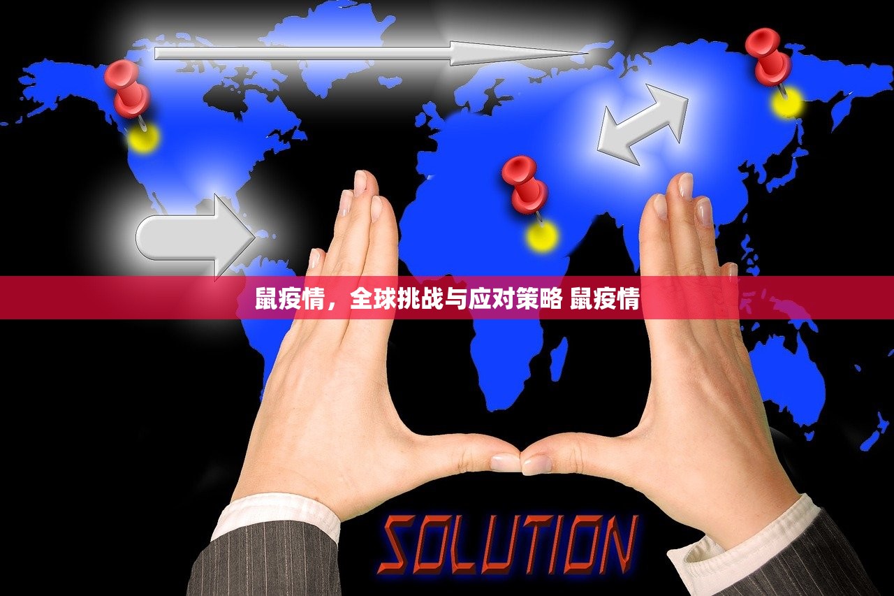 鼠疫情，全球挑战与应对策略 鼠疫情