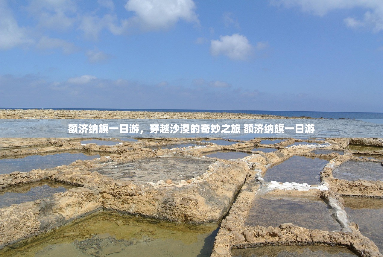额济纳旗一日游，穿越沙漠的奇妙之旅 额济纳旗一日游