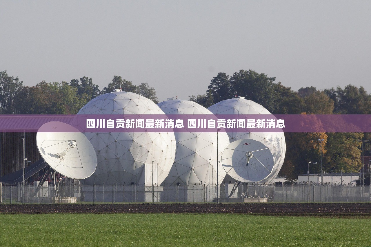 四川自贡新闻最新消息 四川自贡新闻最新消息