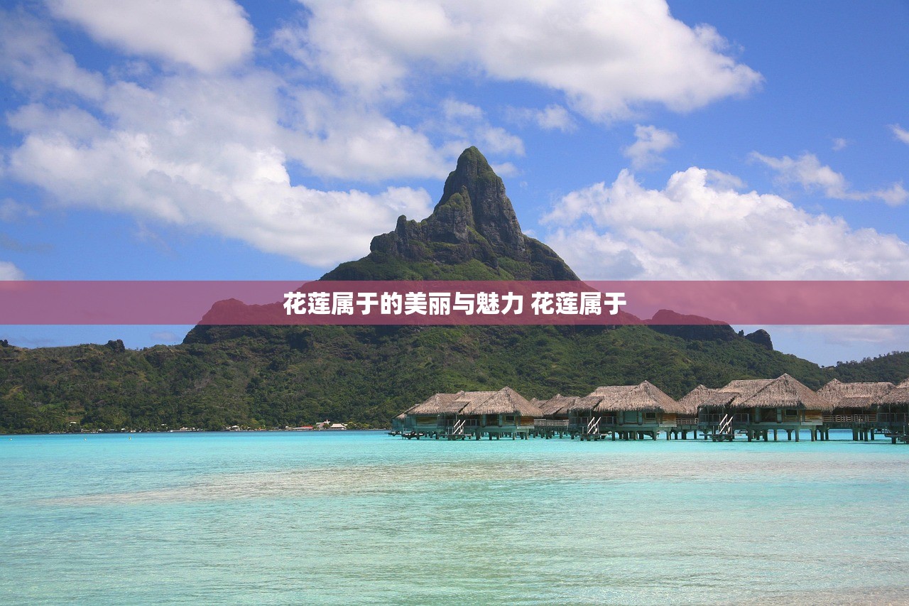 花莲属于的美丽与魅力 花莲属于