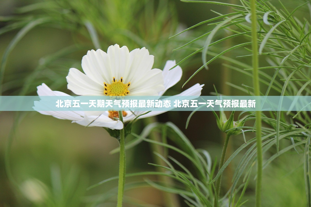 北京五一天期天气预报最新动态 北京五一天气预报最新