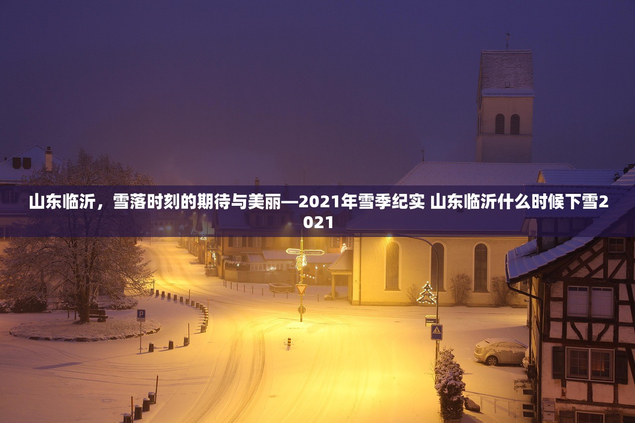 山东临沂，雪落时刻的期待与美丽—2021年雪季纪实 山东临沂什么时候下雪2021