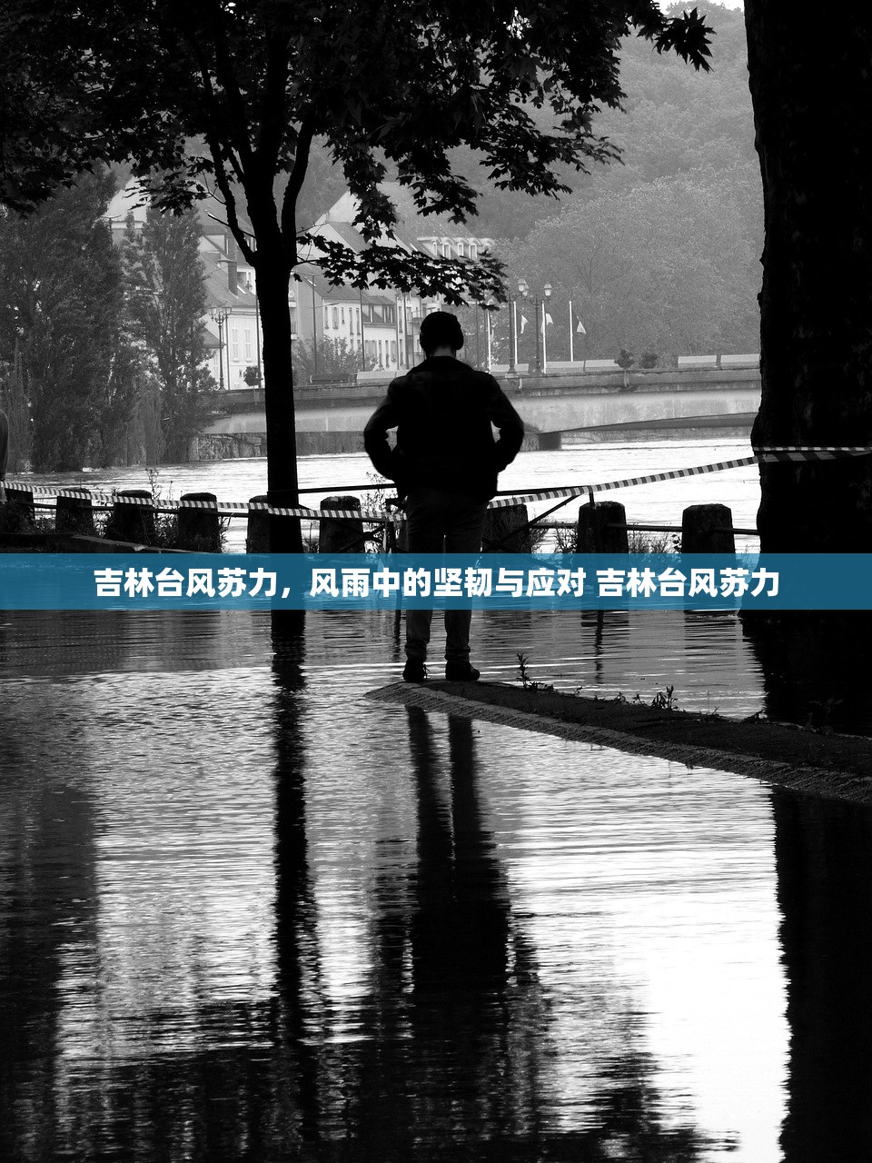 吉林台风苏力，风雨中的坚韧与应对 吉林台风苏力