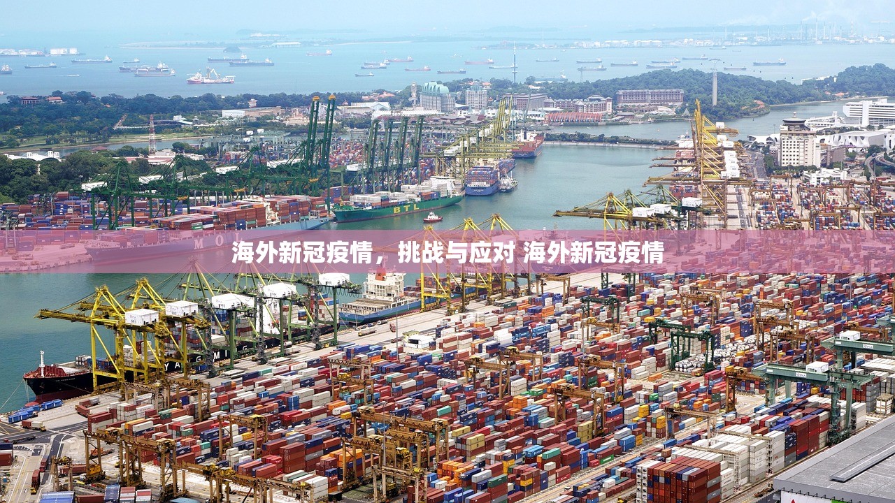 海外新冠疫情，挑战与应对 海外新冠疫情