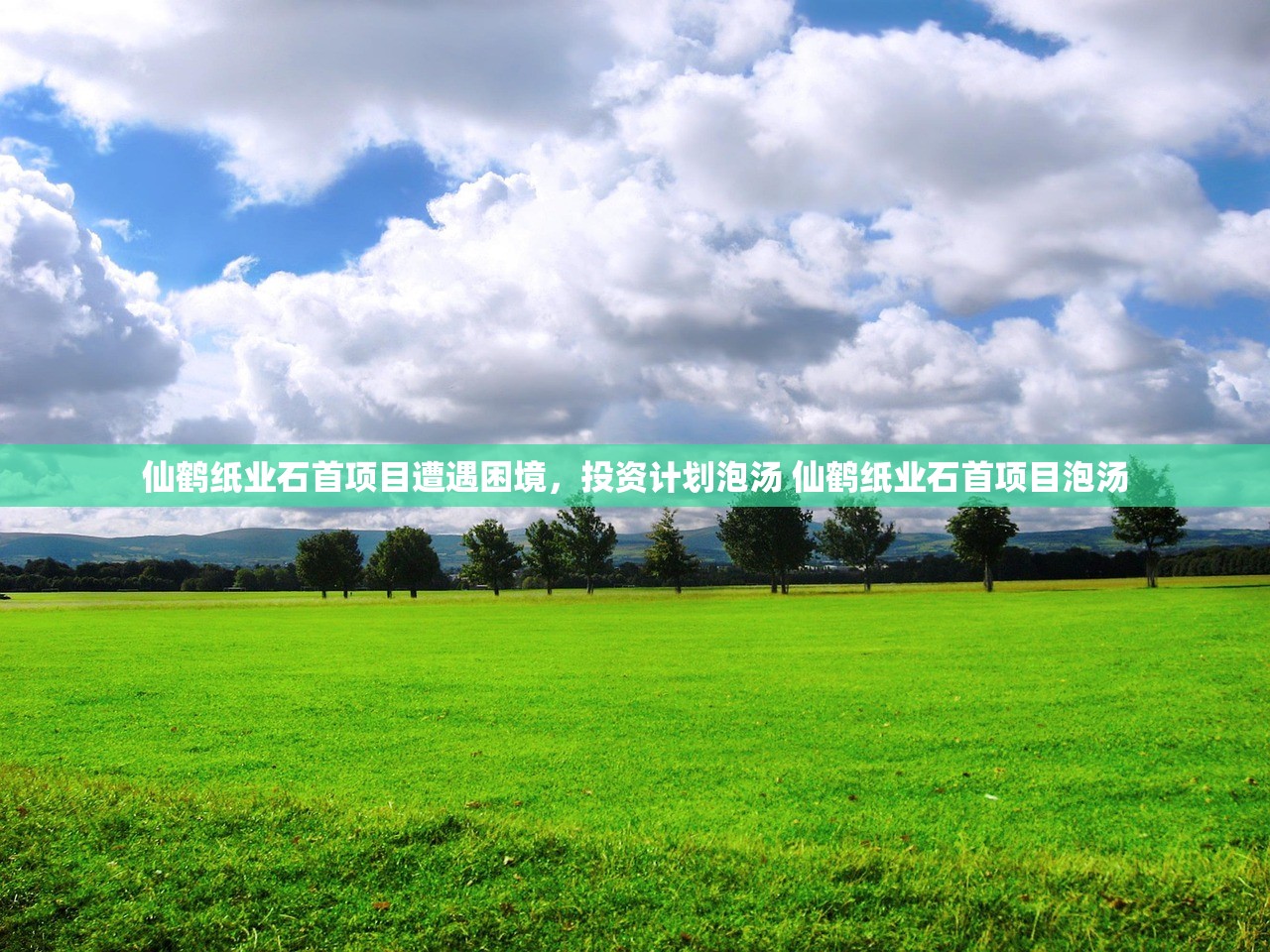 仙鹤纸业石首项目遭遇困境，投资计划泡汤 仙鹤纸业石首项目泡汤