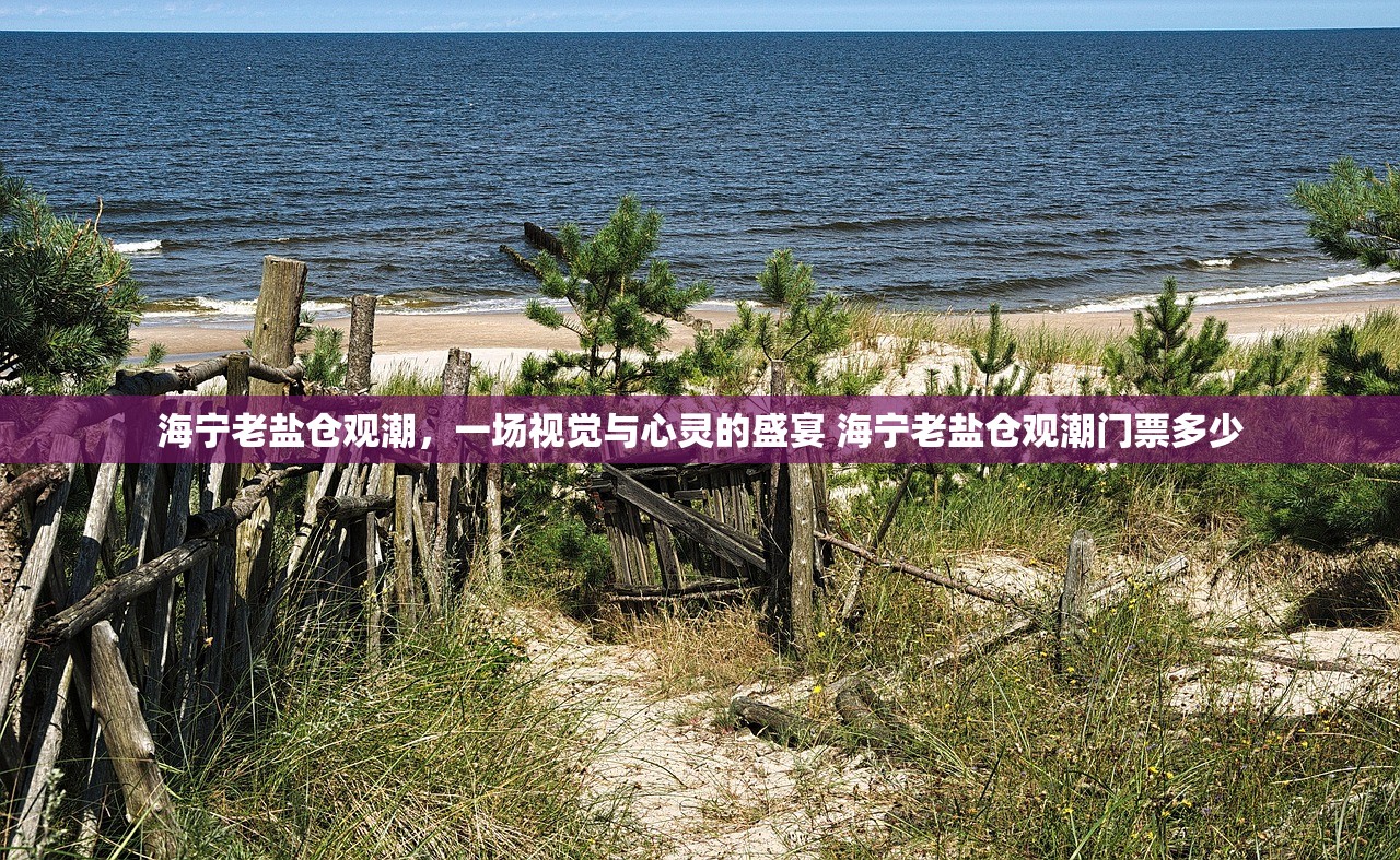 海宁老盐仓观潮，一场视觉与心灵的盛宴 海宁老盐仓观潮门票多少