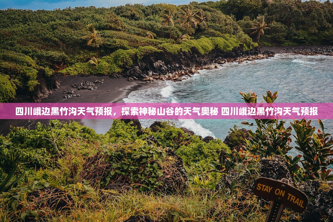 四川峨边黑竹沟天气预报,探索神秘山谷的天气奥秘 四川峨边黑竹沟天气预报 四川峨边黑竹沟天气预报,探索神秘山谷的天气奥秘 四川峨边黑竹沟天气预报