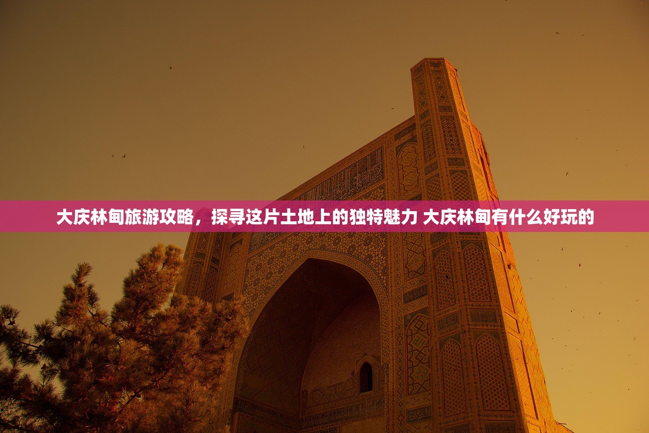 大庆林甸旅游攻略，探寻这片土地上的独特魅力 大庆林甸有什么好玩的