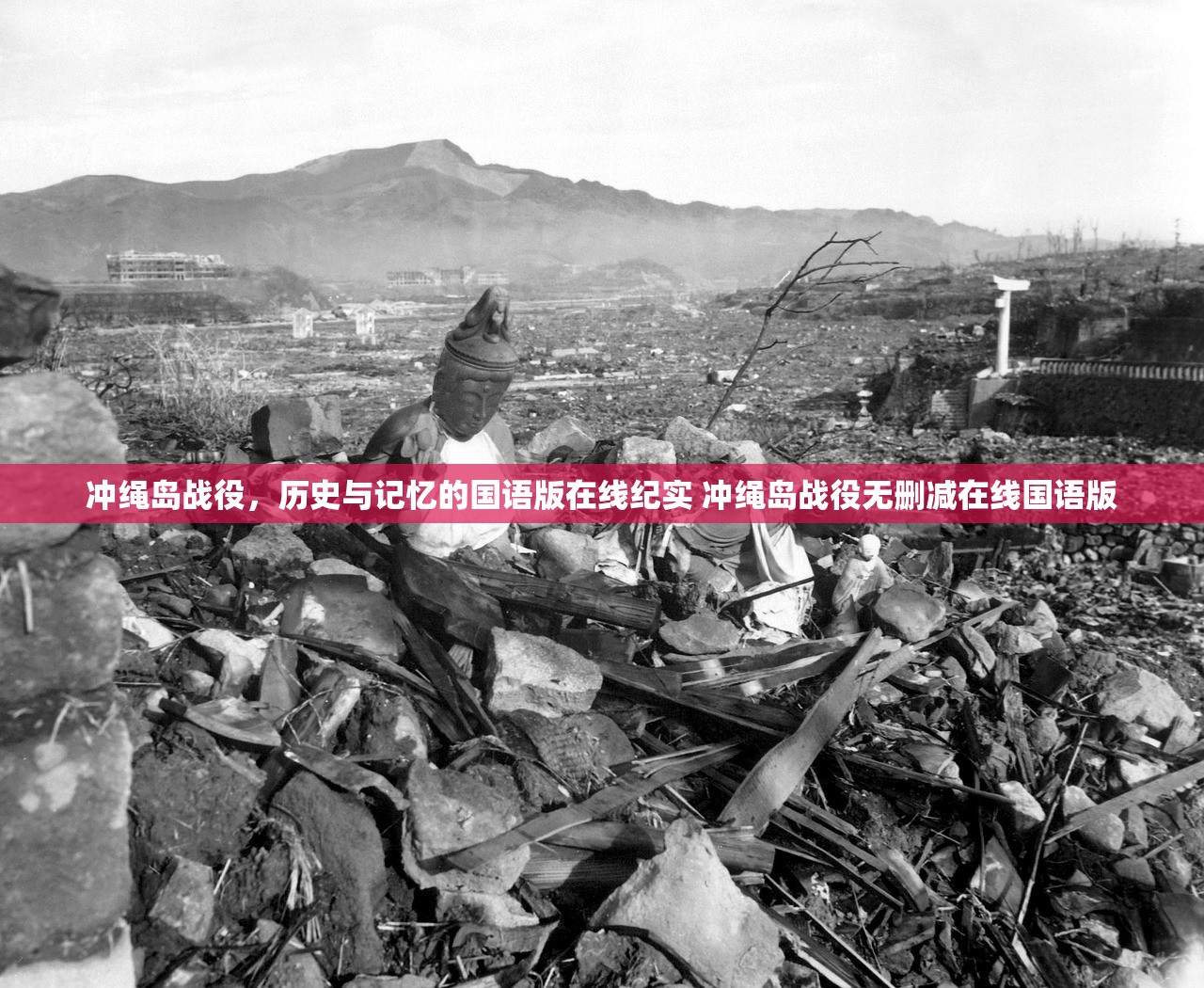 冲绳岛战役，历史与记忆的国语版在线纪实 冲绳岛战役无删减在线国语版