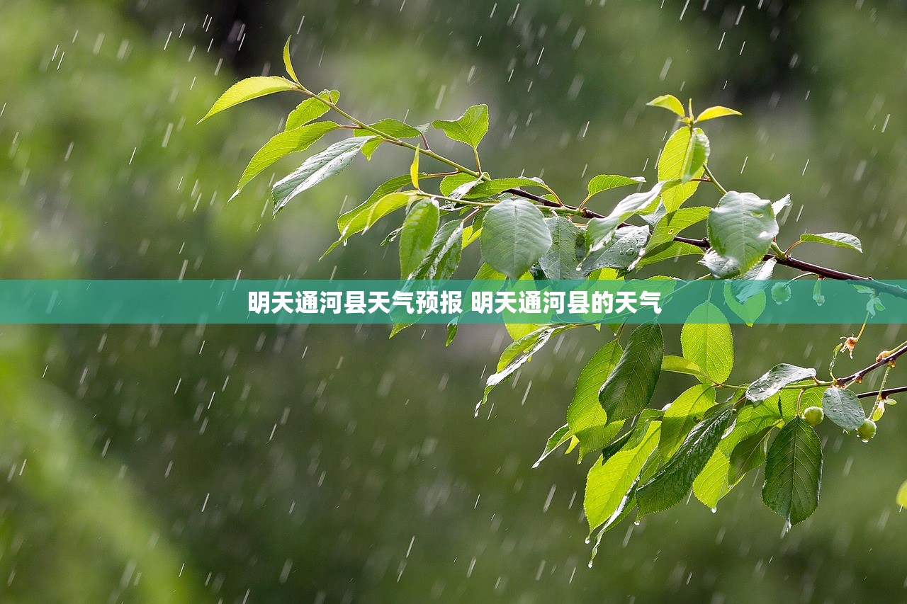 明天通河县天气预报 明天通河县的天气 明天通河县天气预报 明天通河县的天气