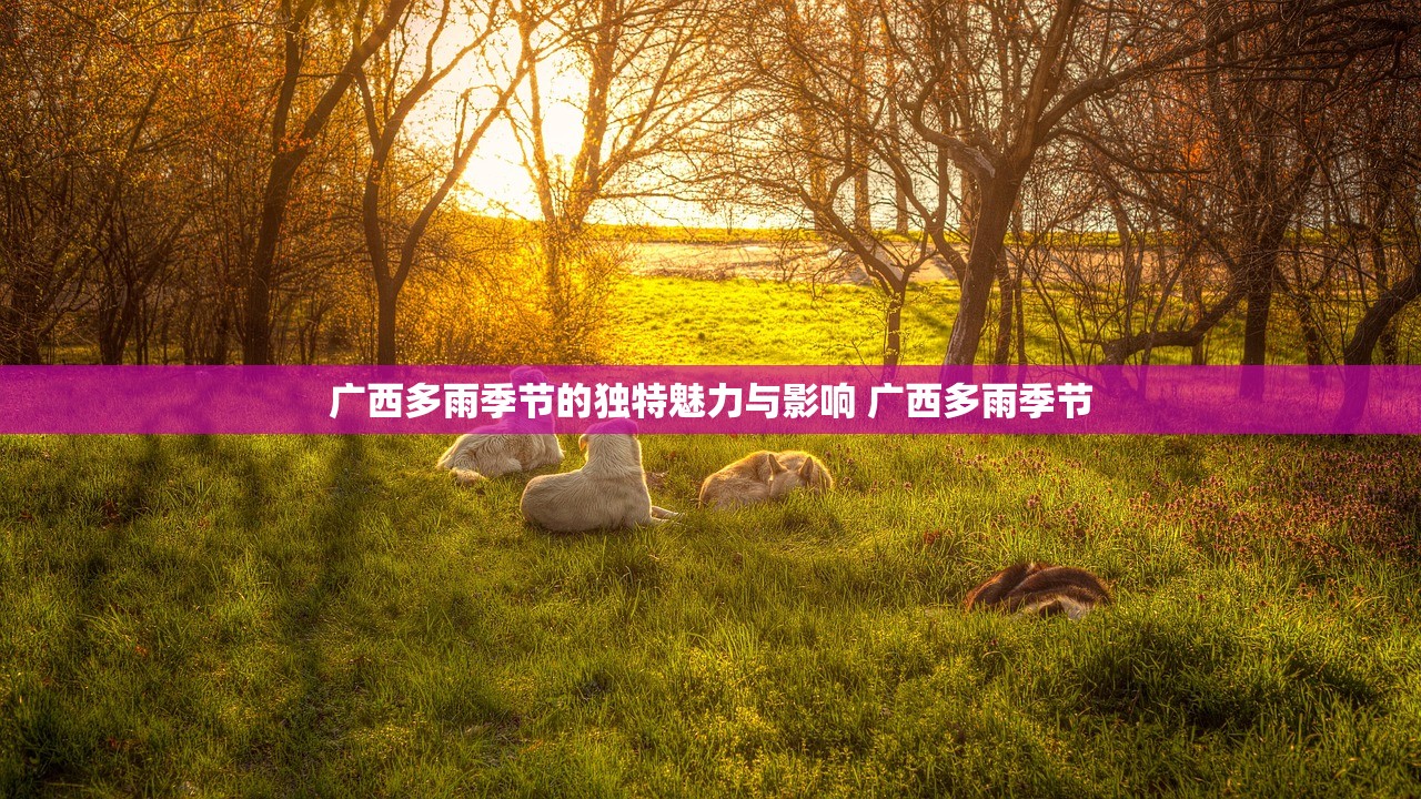 广西多雨季节的独特魅力与影响 广西多雨季节 广西多雨季节的独特魅力与影响 广西多雨季节