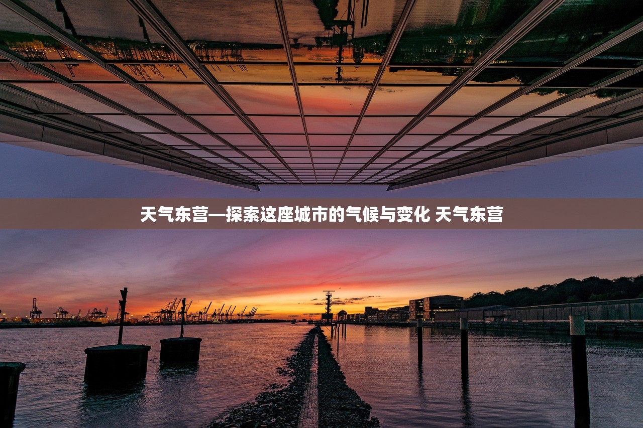 天气东营—探索这座城市的气候与变化 天气东营