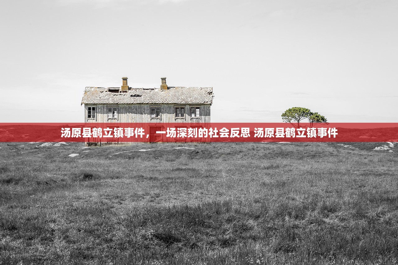 汤原县鹤立镇事件,一场深刻的社会反思 汤原县鹤立镇事件 汤原县鹤立镇事件,一场深刻的社会反思 汤原县鹤立镇事件