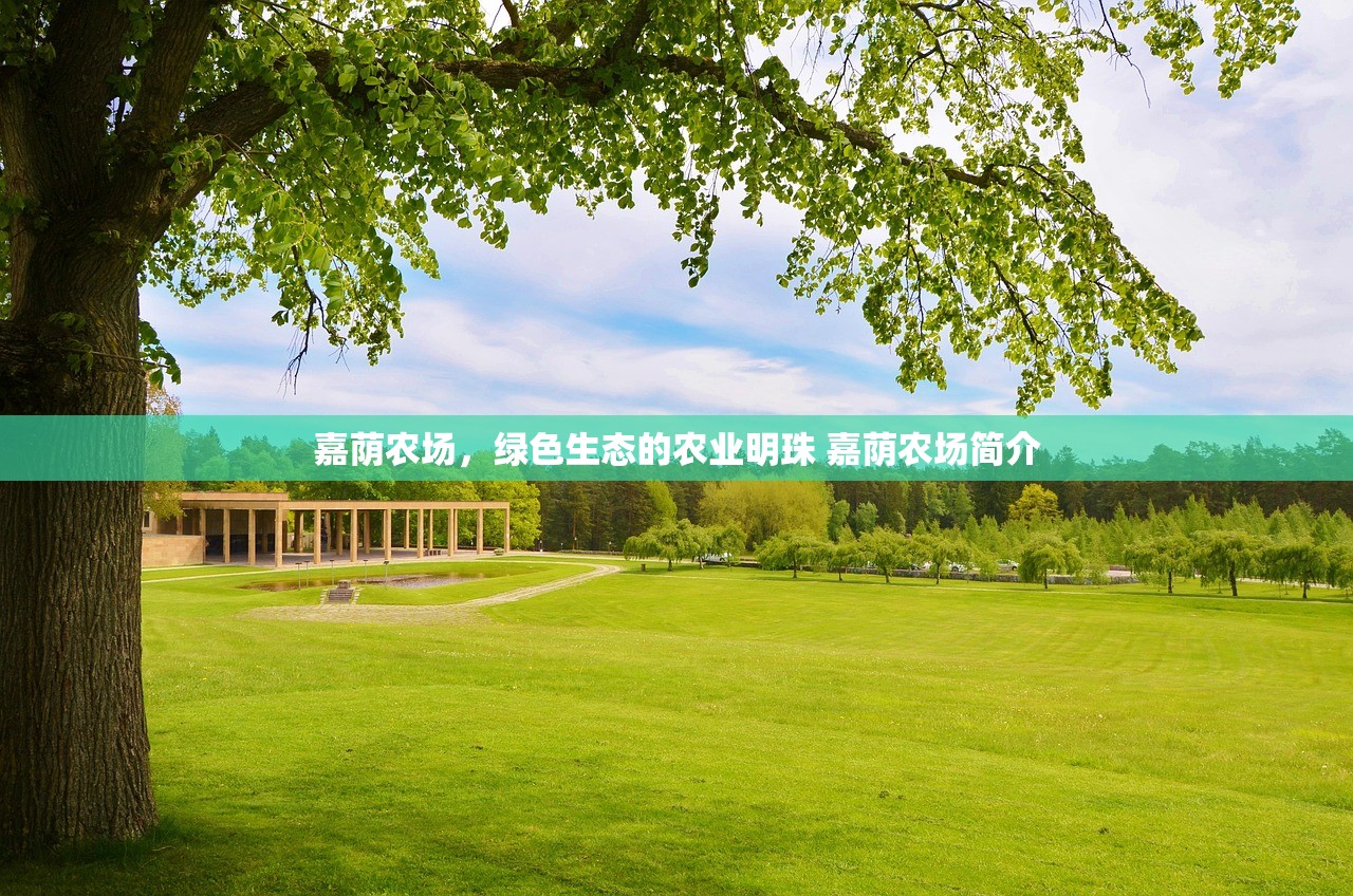 嘉荫农场，绿色生态的农业明珠 嘉荫农场简介