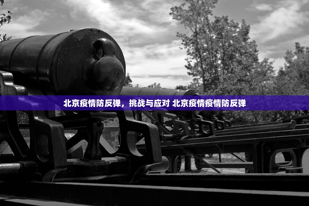 北京疫情防反弹,挑战与应对 北京疫情疫情防反弹 北京疫情防反弹,挑战与应对 北京疫情疫情防反弹