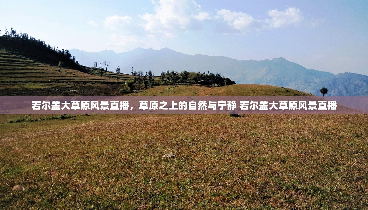 若尔盖大草原风景直播，草原之上的自然与宁静 若尔盖大草原风景直播