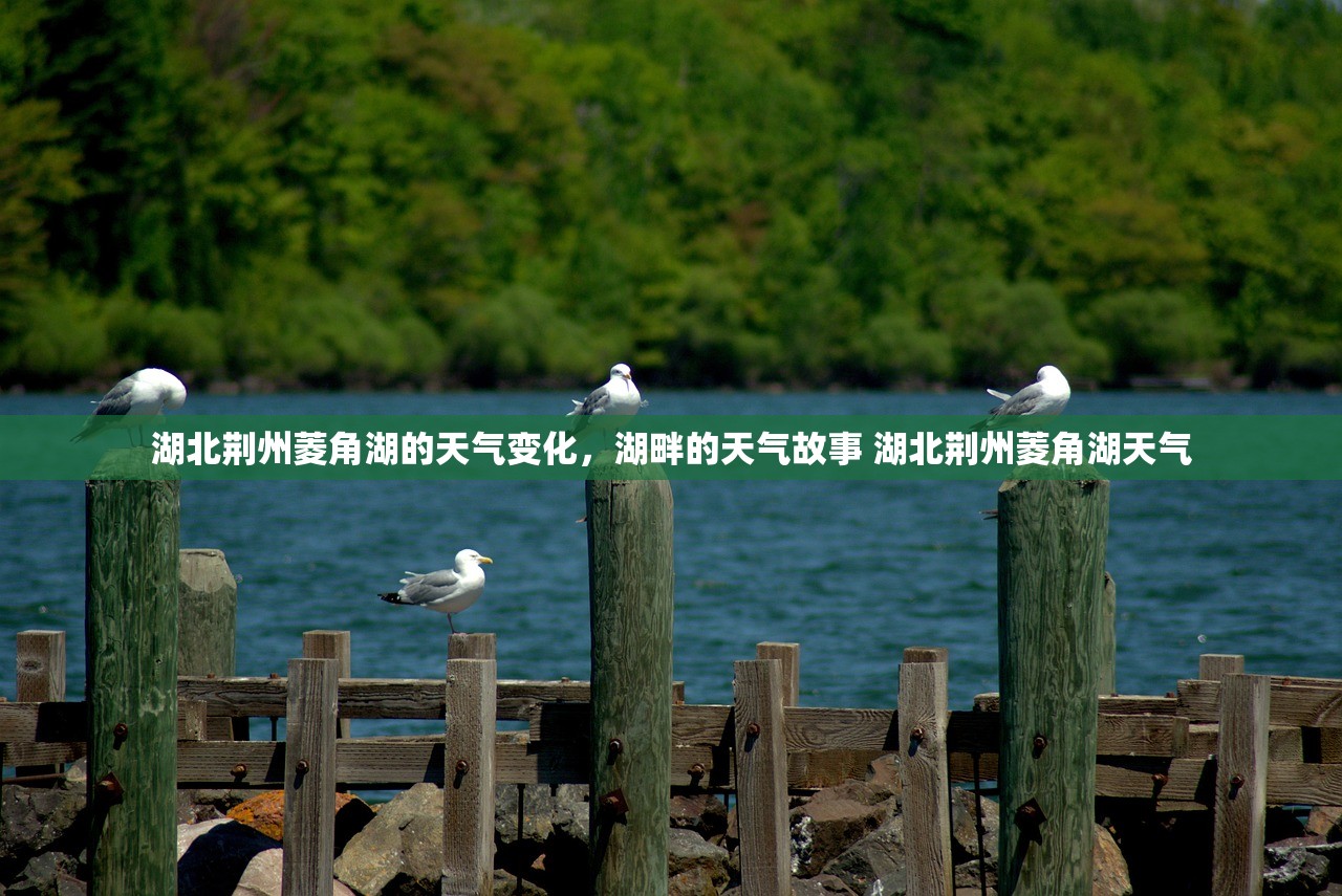 湖北荆州菱角湖的天气变化，湖畔的天气故事 湖北荆州菱角湖天气