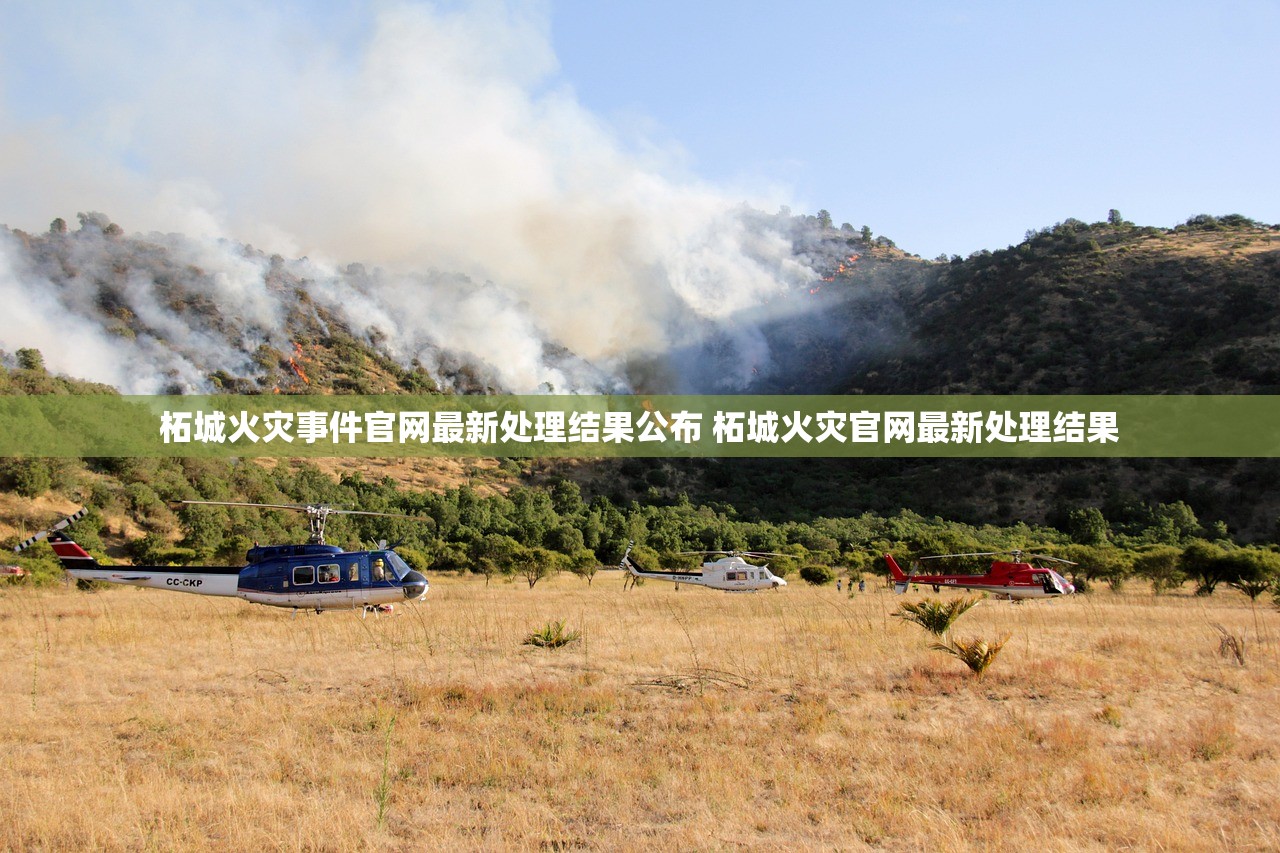 柘城火灾事件官网最新处理结果公布 柘城火灾官网最新处理结果