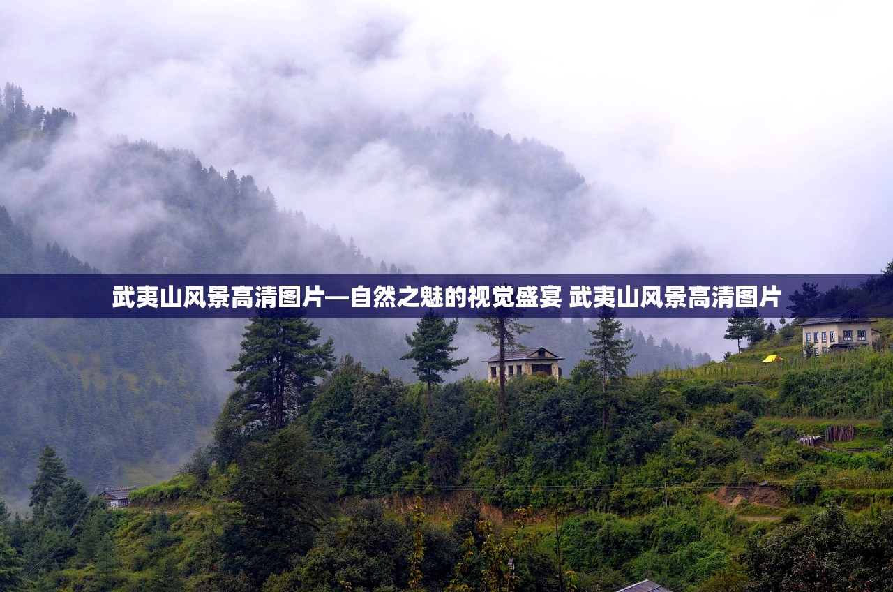 武夷山风景高清图片—自然之魅的视觉盛宴 武夷山风景高清图片