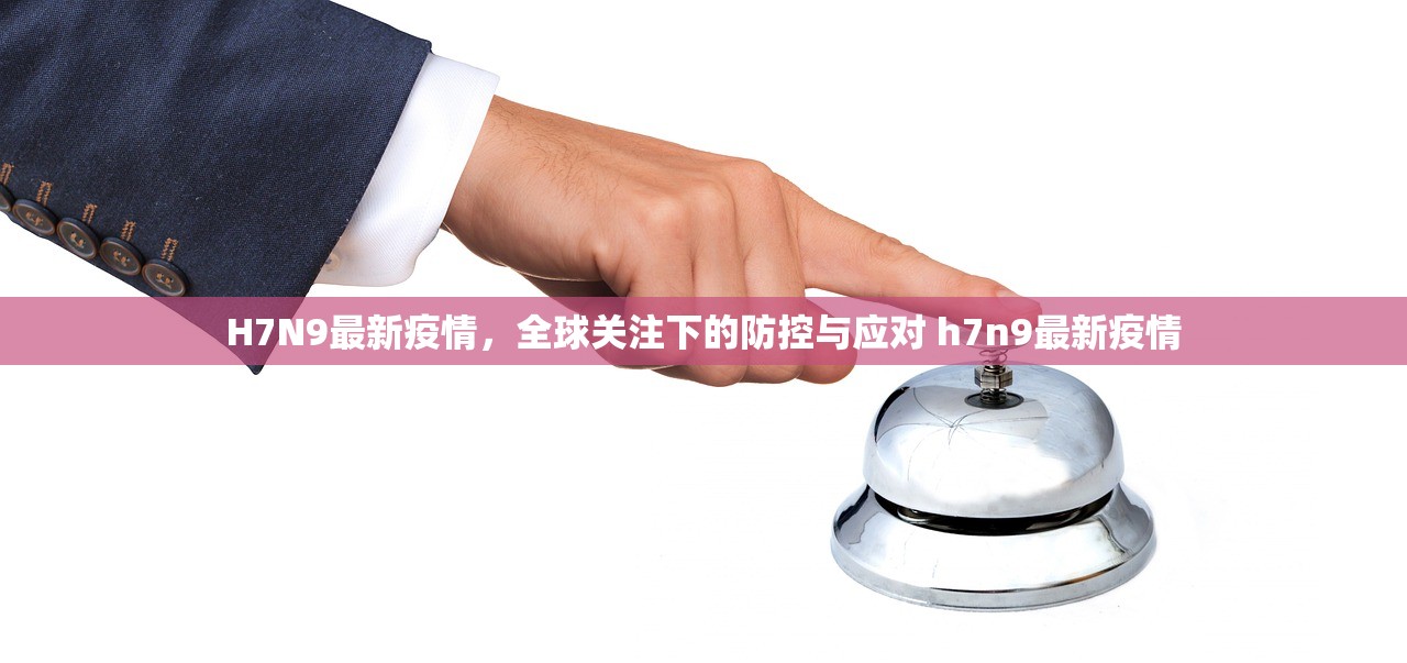 H7N9最新疫情，全球关注下的防控与应对 h7n9最新疫情