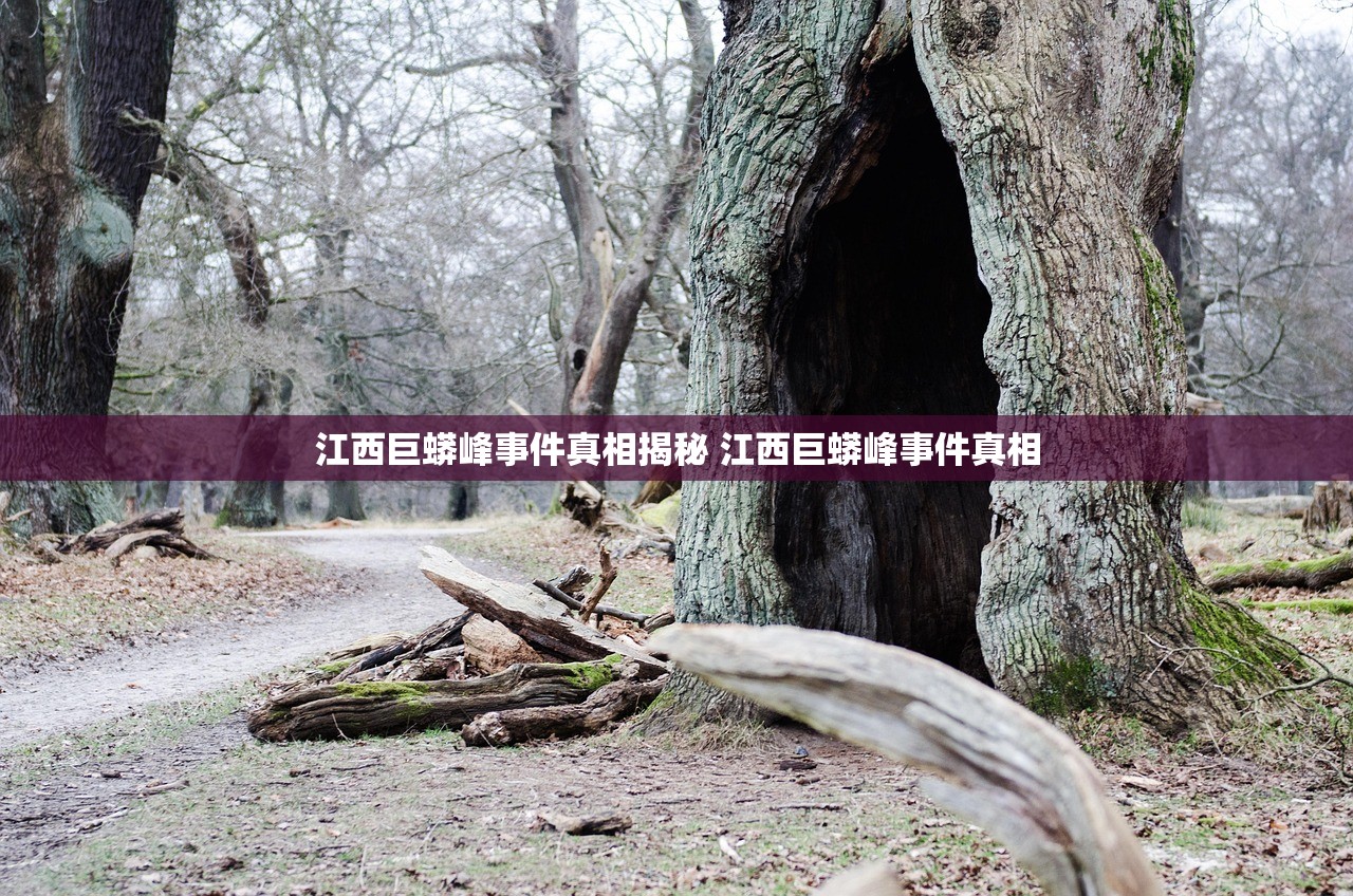 江西巨蟒峰事件真相揭秘 江西巨蟒峰事件真相
