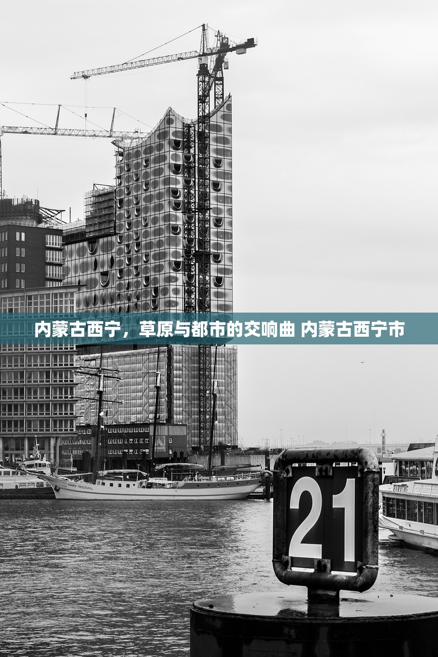 内蒙古西宁，草原与都市的交响曲 内蒙古西宁市