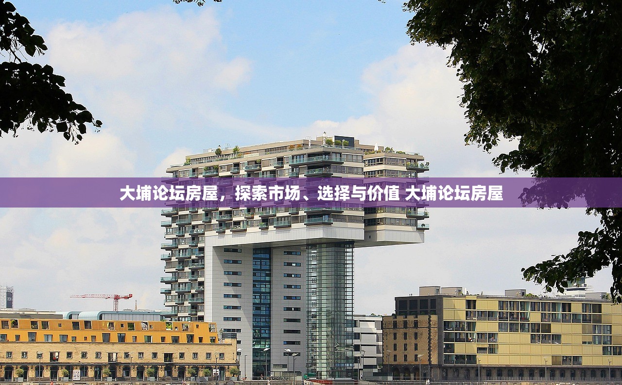 大埔论坛房屋，探索市场、选择与价值 大埔论坛房屋