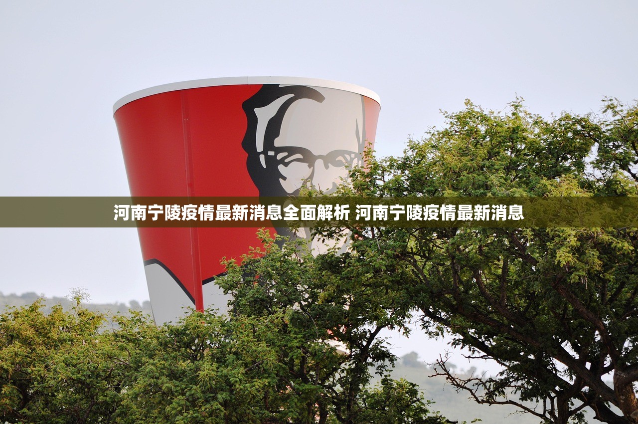 河南宁陵疫情最新消息全面解析 河南宁陵疫情最新消息