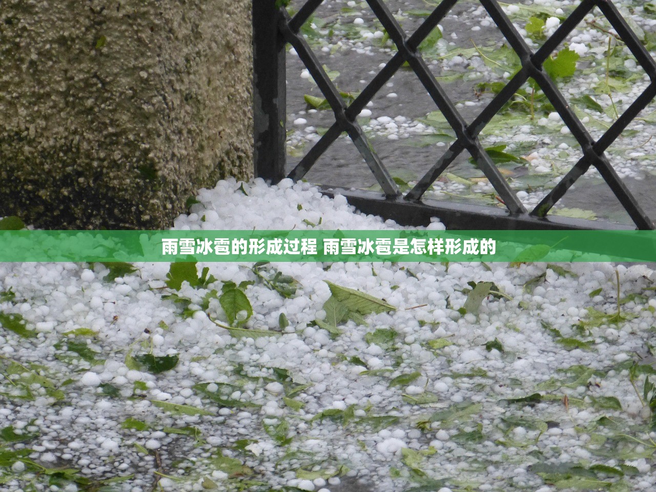 雨雪冰雹的形成过程 雨雪冰雹是怎样形成的