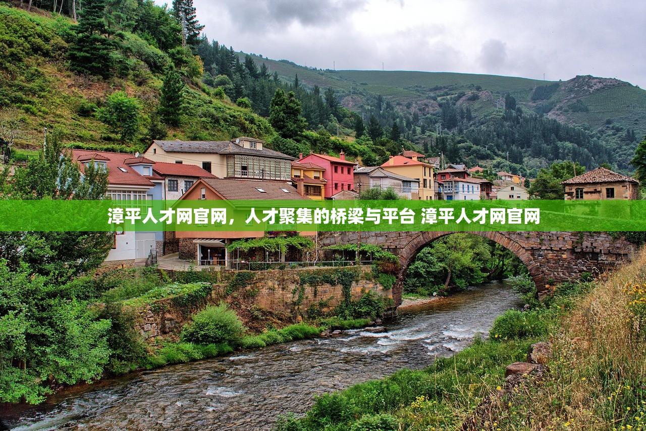 漳平人才网官网，人才聚集的桥梁与平台 漳平人才网官网