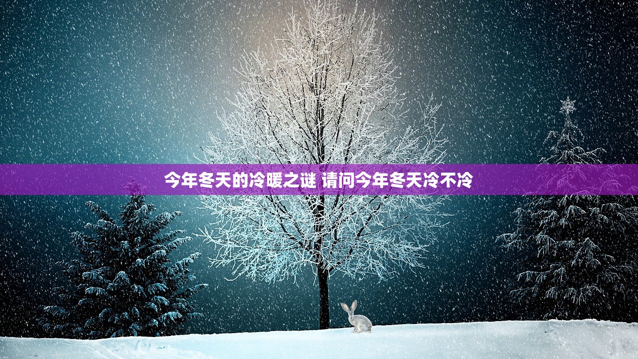 今年冬天的冷暖之谜 请问今年冬天冷不冷