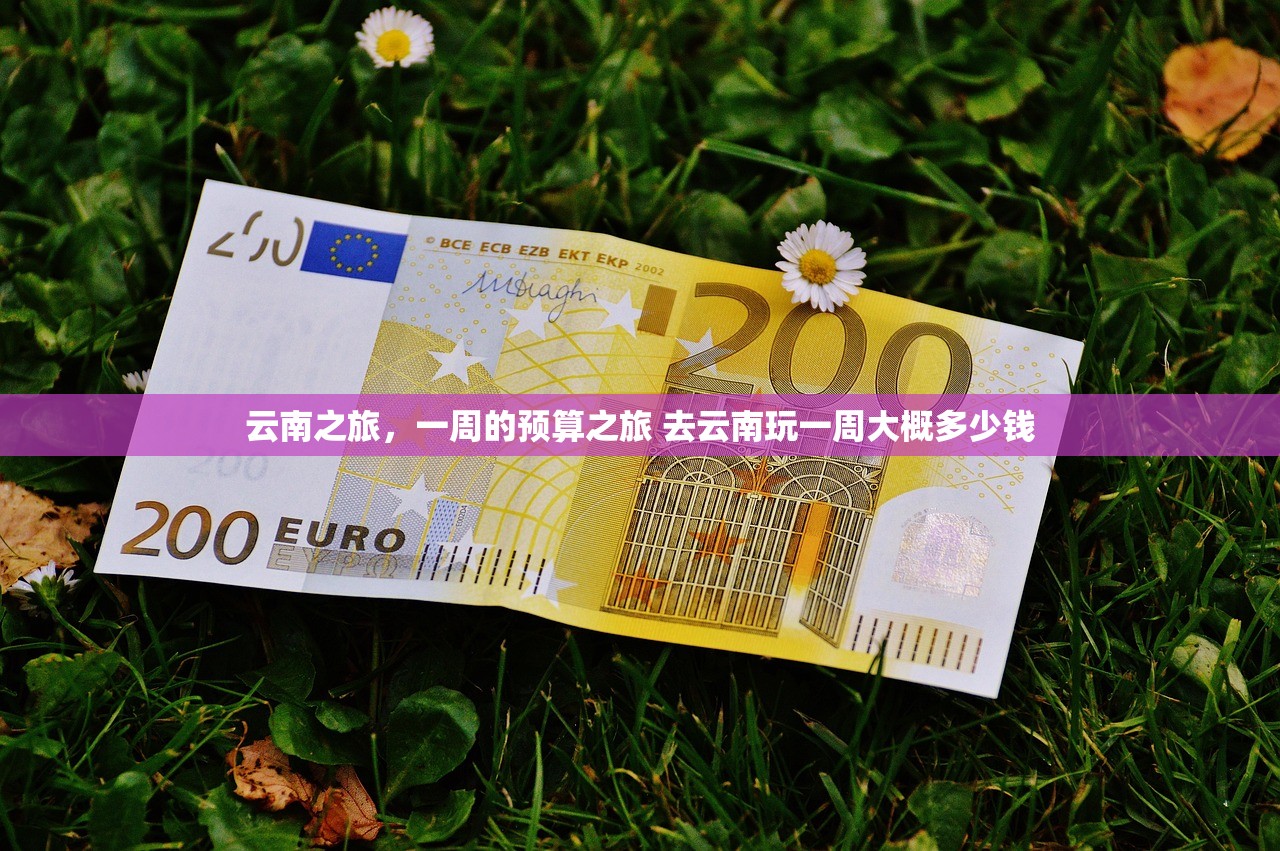 云南之旅，一周的预算之旅 去云南玩一周大概多少钱