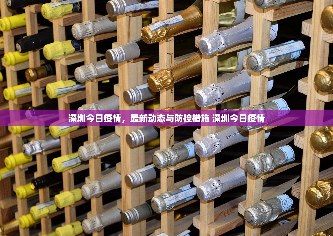 深圳今日疫情，最新动态与防控措施 深圳今日疫情