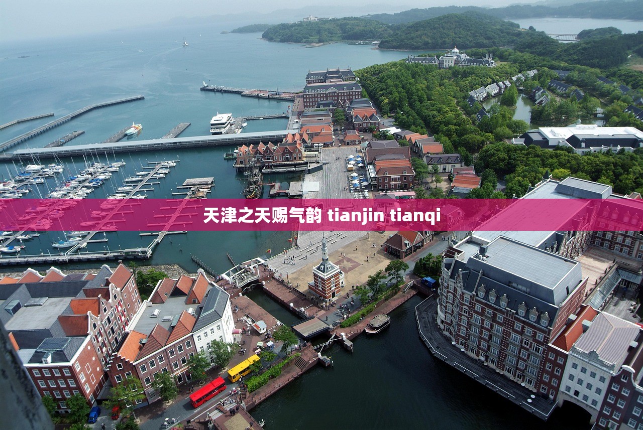 天津之天赐气韵 tianjin tianqi