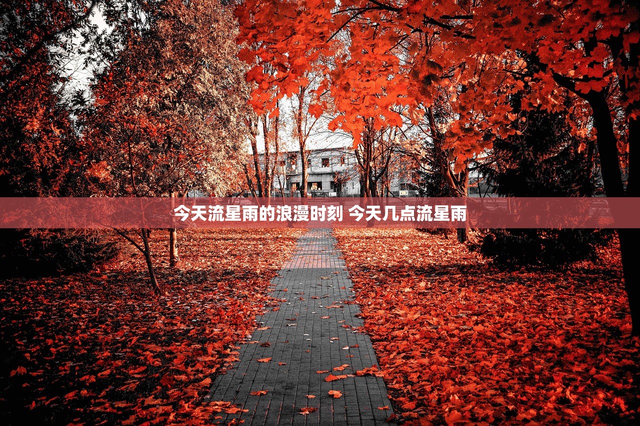 今天流星雨的浪漫时刻 今天几点流星雨