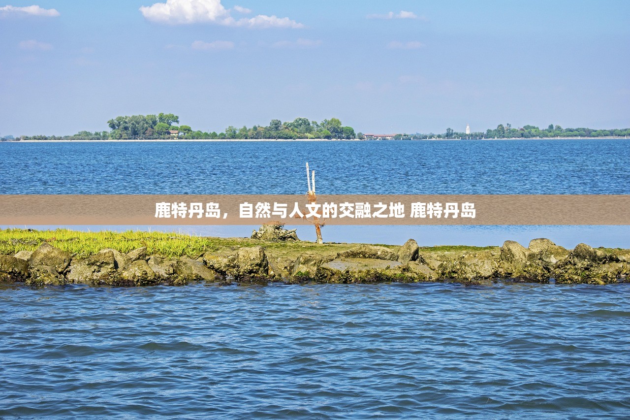 鹿特丹岛，自然与人文的交融之地 鹿特丹岛