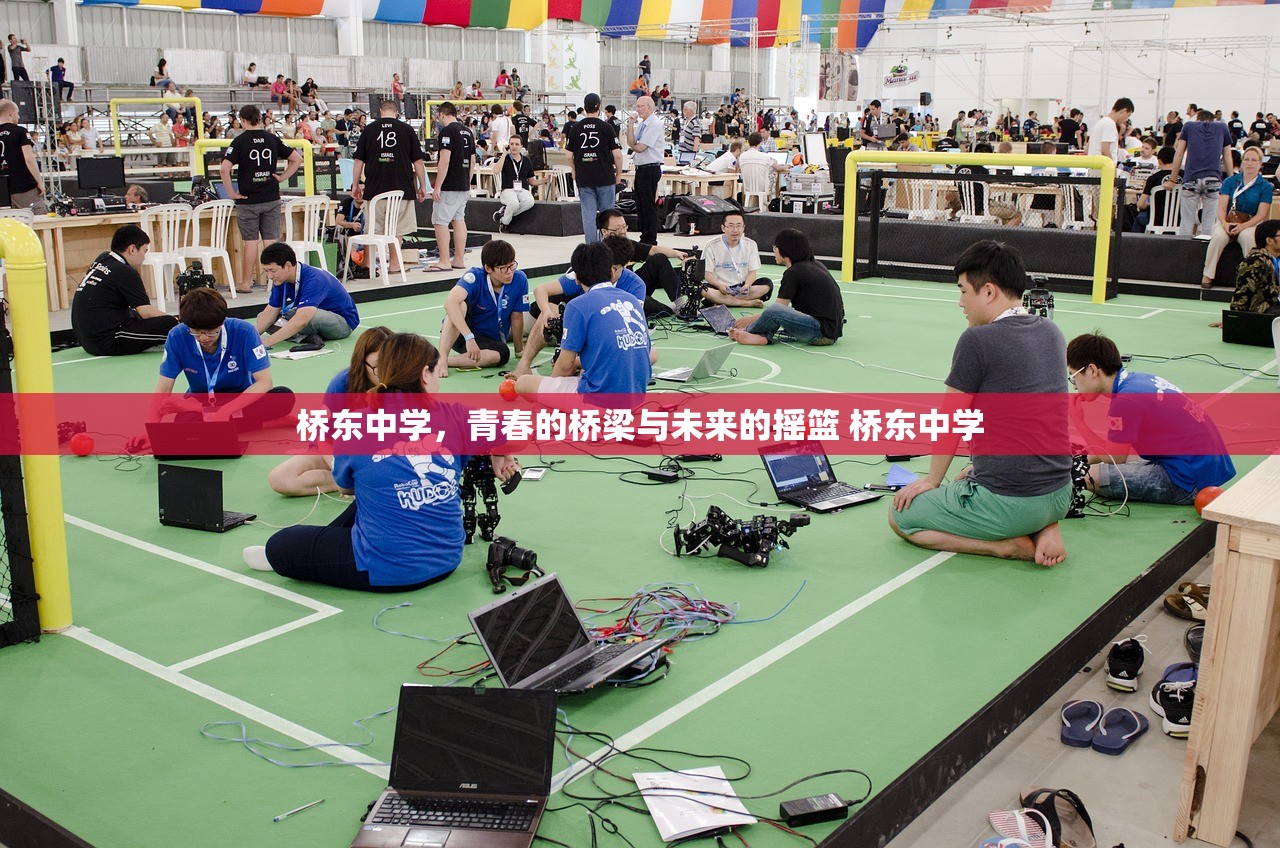 桥东中学，青春的桥梁与未来的摇篮 桥东中学