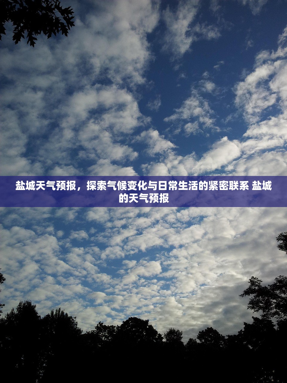 盐城天气预报,探索气候变化与日常生活的紧密联系 盐城的天气预报 盐城天气预报,探索气候变化与日常生活的紧密联系 盐城的天气预报